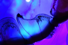 Eric-J.-Allen-Moonlit-Basin.-Photography